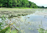 Morrison Dam Conservation Area