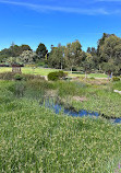 Adelaide Botanic Garden