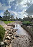 Adelaide Botanic Garden