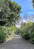 Adelaide Botanic Garden