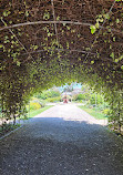 Adelaide Botanic Garden