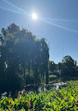 Adelaide Botanic Garden