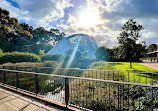 Adelaide Botanic Garden