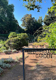 Adelaide Botanic Garden