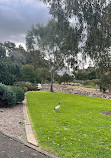 Adelaide Botanic Garden