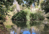 Adelaide Botanic Garden