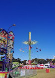 Adelaide Oval / Tarntanya Wama (Park 26)