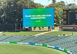 Adelaide Oval / Tarntanya Wama (Park 26)