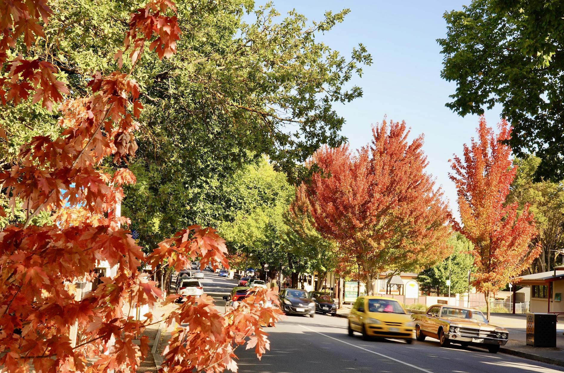 Hahndorf Village