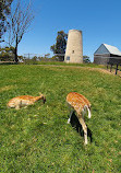 Hahndorf Farm Barn