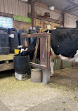 Hahndorf Farm Barn