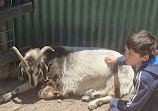 Hahndorf Farm Barn