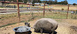 Hahndorf Farm Barn