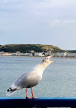 Llandudno Pier