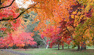 National Trust - Bodnant Garden