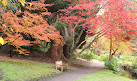 National Trust - Bodnant Garden