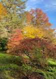 National Trust - Bodnant Garden