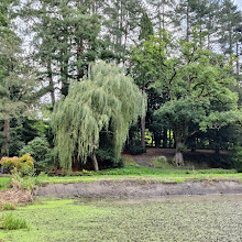 National Trust - Bodnant Garden