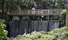 National Trust - Bodnant Garden