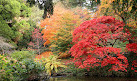 National Trust - Bodnant Garden