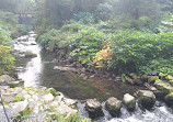 Bodnant Garden Car Park