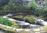 Bodnant Garden Car Park