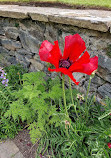 Bodnant Garden Car Park