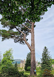 Bodnant Garden Car Park