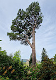 Bodnant Garden Car Park