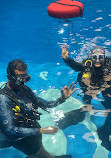 DiveCampus