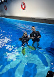 DiveCampus