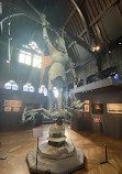 Museo de la ciudad de Bruselas