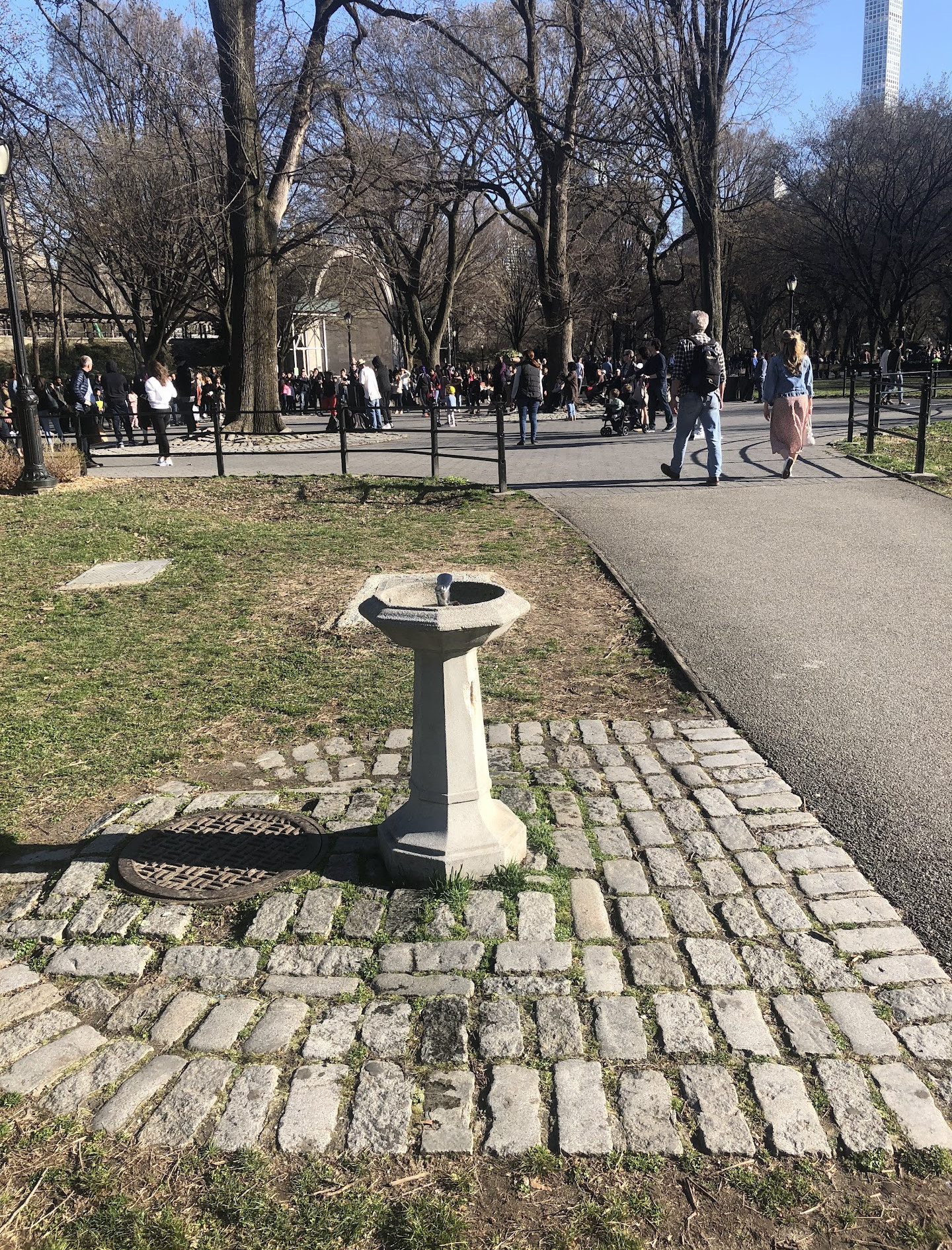 Drinking Water Fountain