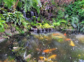 Sunken Gardens