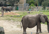 ZooTampa at Lowry Park