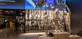 Nationalmuseum für afroamerikanische Geschichte und Kultur