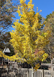 The Village Green Of Cashiers