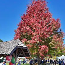 The Village Green Of Cashiers