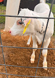 Great Brook Farm State Park