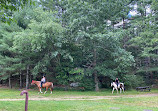 Great Brook Farm State Park