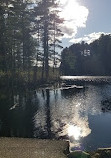 Great Brook Farm State Park