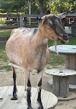 Great Brook Farm State Park