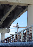 Sebastian Inlet State Park