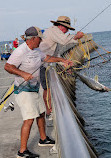 Sebastian Inlet State Park