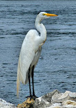 Sebastian Inlet State Park