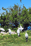 Sebastian Inlet State Park