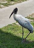 Sebastian Inlet State Park