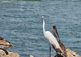 Sebastian Inlet State Park