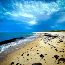 Sebastian Inlet State Park