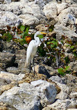 Sebastian Inlet State Park